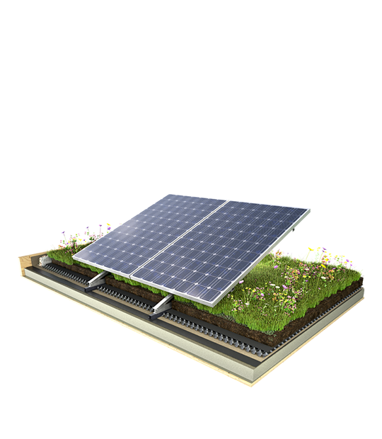 Bio Solar