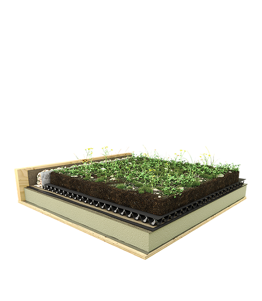 Biodiverse Green Roof Systems