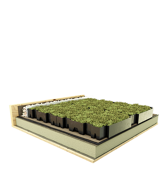 Modular Green Roof Systems