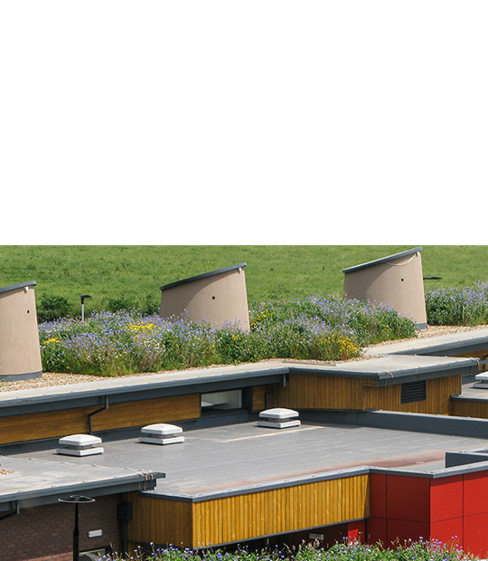 Green Roof Benefits