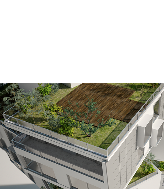 Green Roof Installation