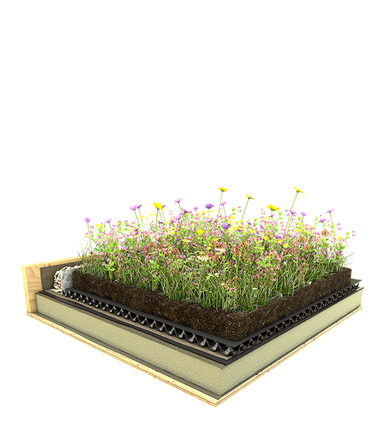 Wildflower Green Roof Systems