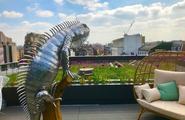 Biodiversity Net Gain - The Future of Environmental Roofing