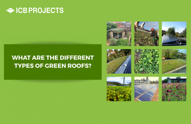 https://www.icbprojects.co.uk/media/images/uploaded/green_roof_main_image.196.featured.png