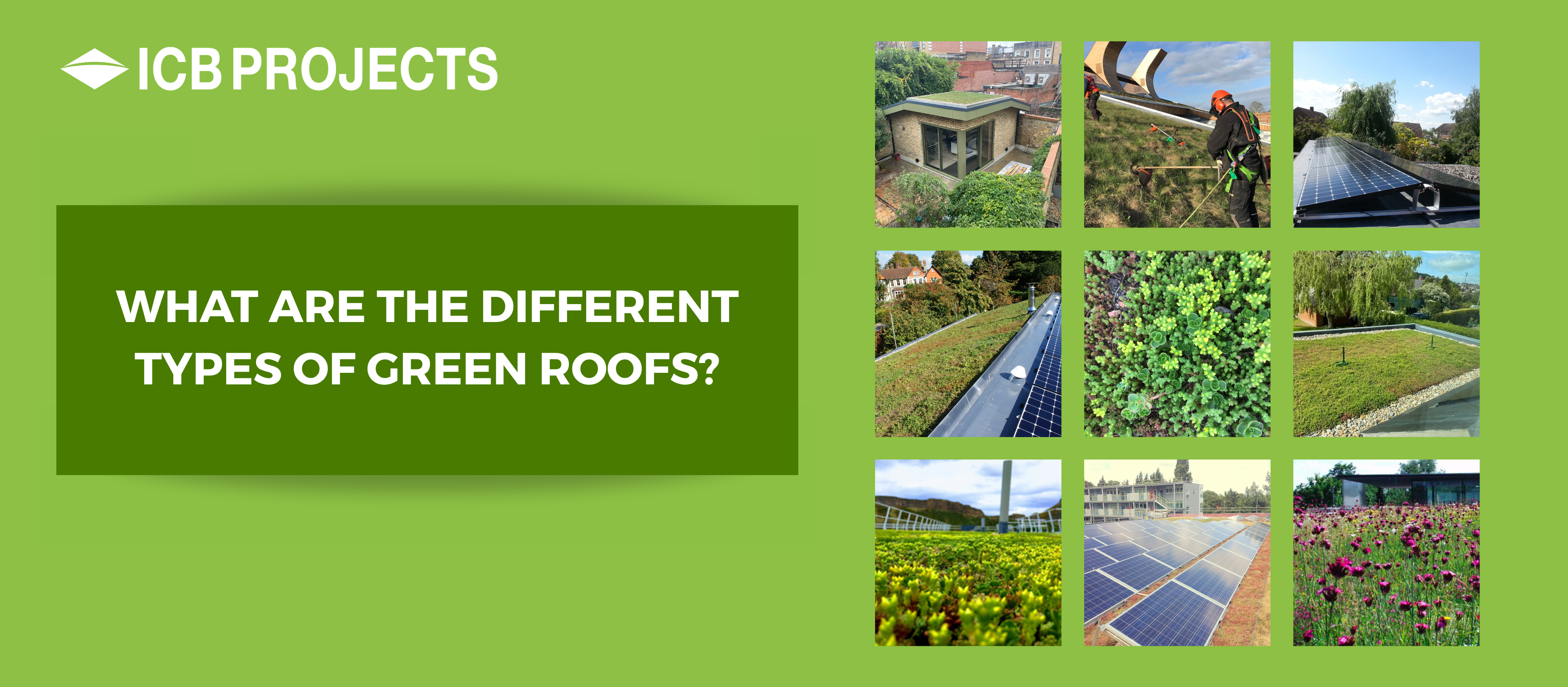 Green_roof_banner
