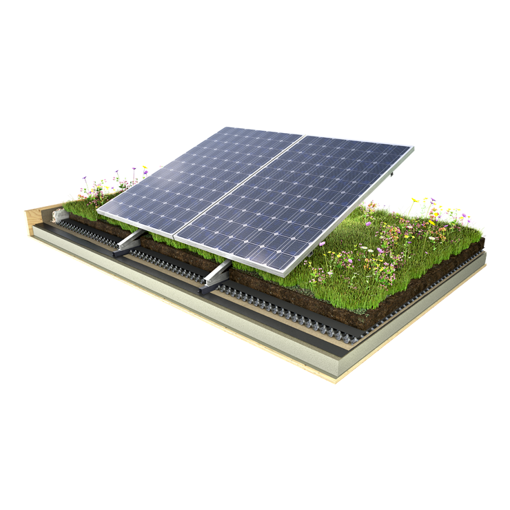 Bio-Solar