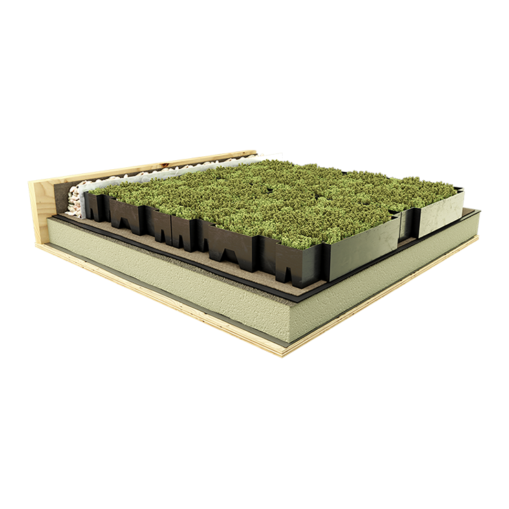 Modular Green Roof Systems