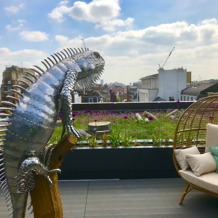 Biodiverse Green Roof System 