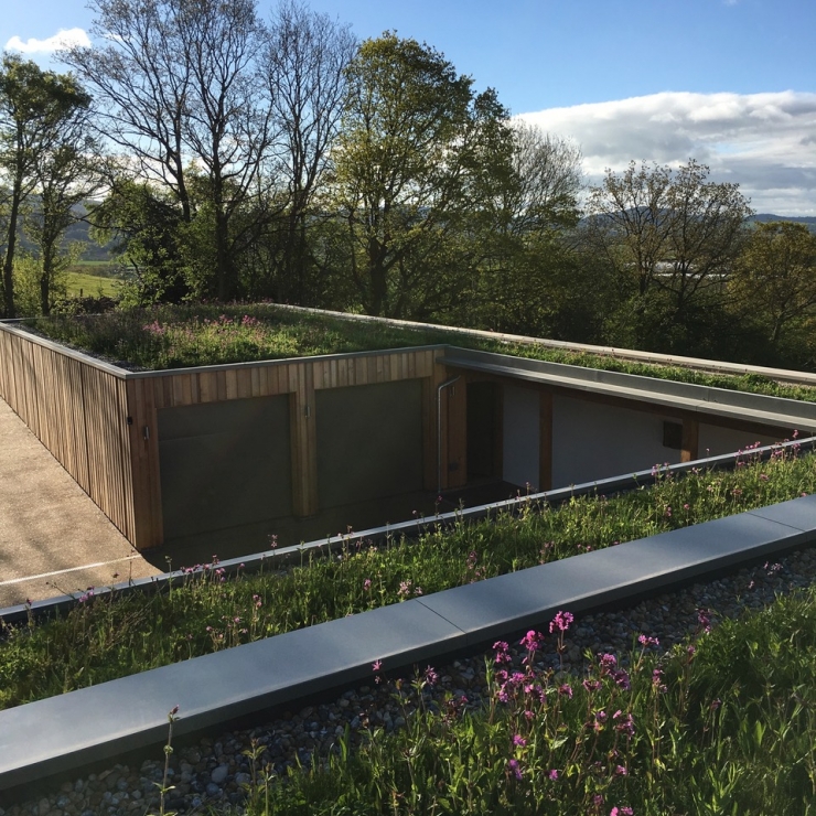 Wildflower Green Roof System 