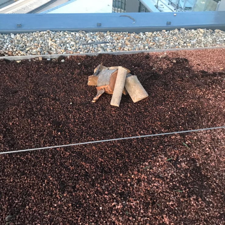 Brown Roof